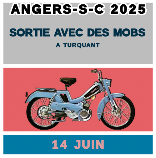 Sortie avec des Mobs